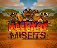 Meerkat Misfits